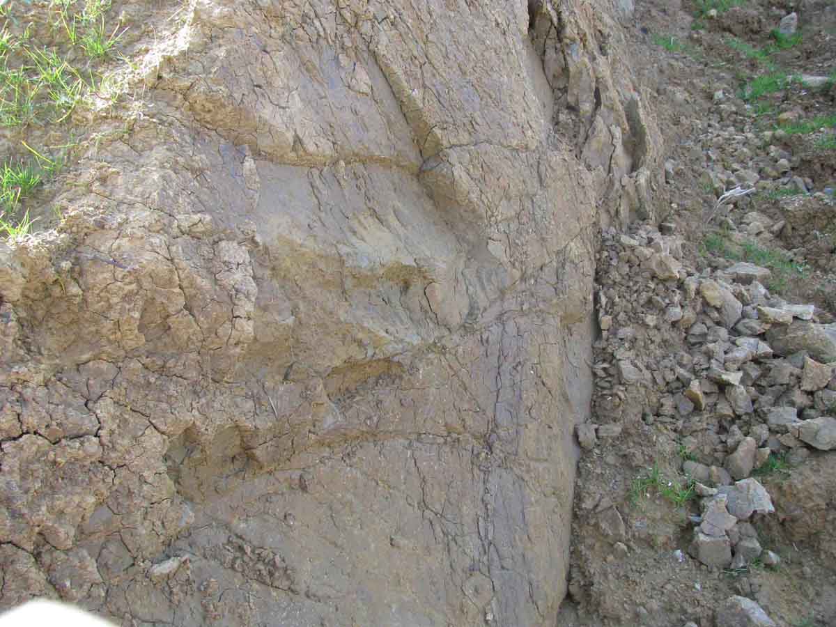 Stiff fissured clay exposed next to a sliding soil mass  